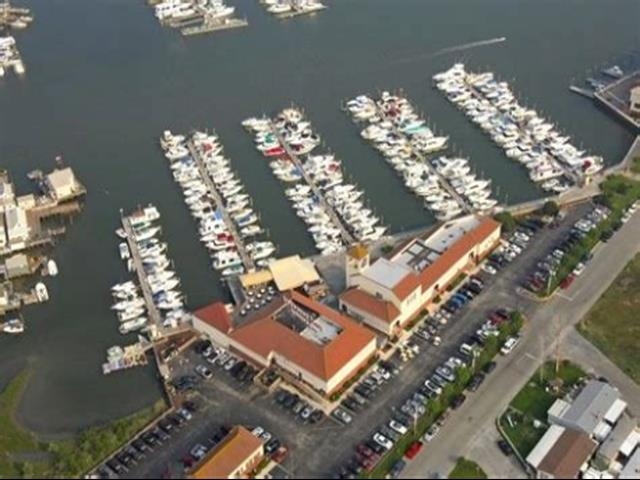 a very nice looking room with a lot of flower pots