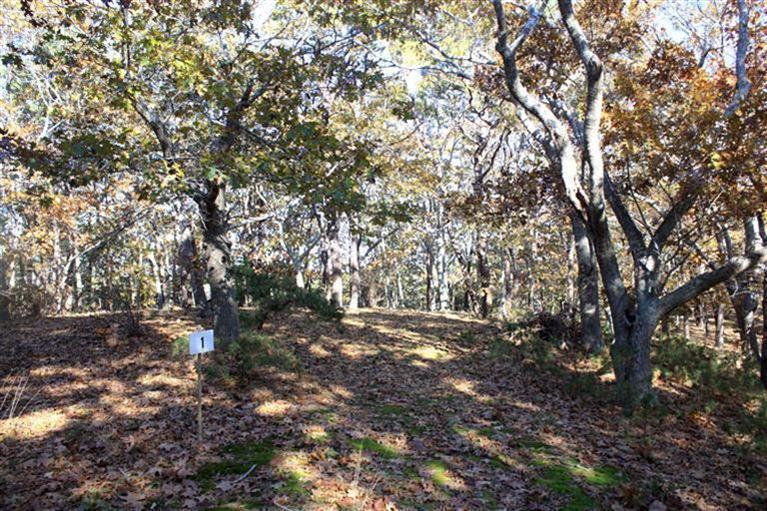 12 Arrowhead Farm Road Truro, MA 02666 - Photo 3 of 3 a backyard of a house with lots of green space