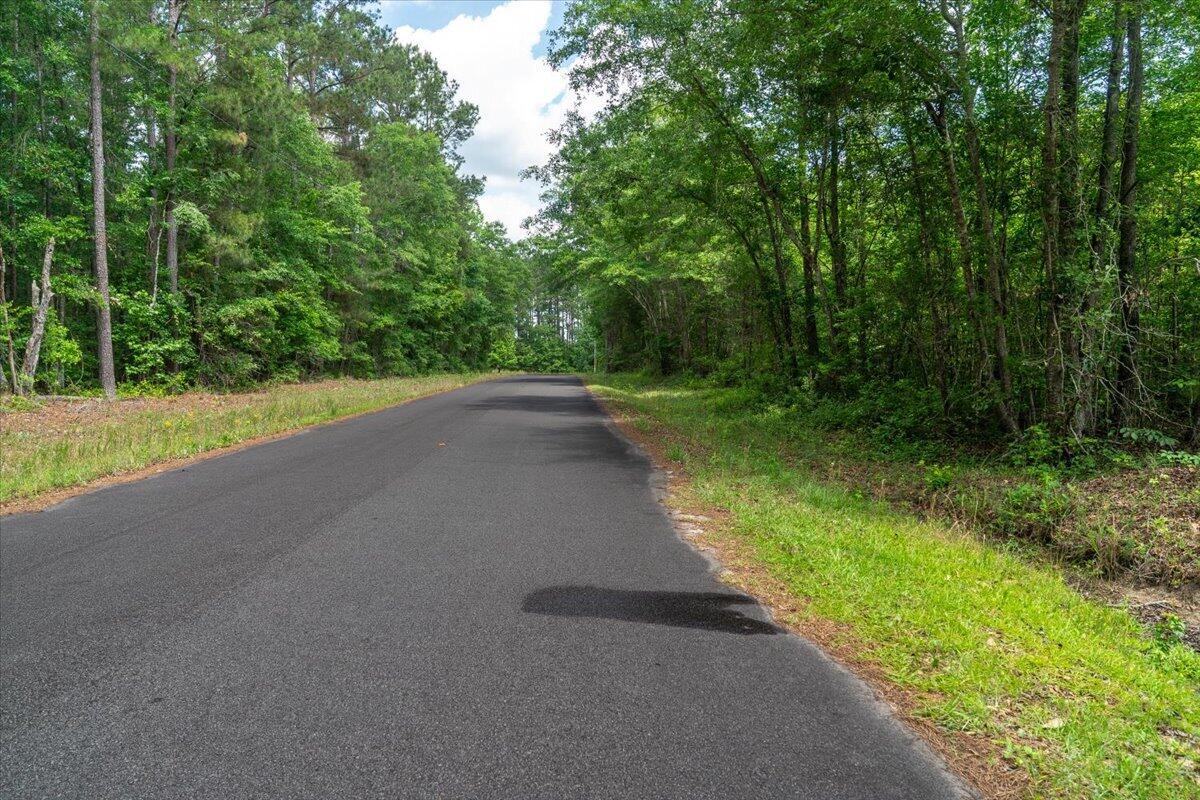 0 Deneaux Road Rowesville, SC 29133 - Photo 4 of 43 03-Deneaux-3