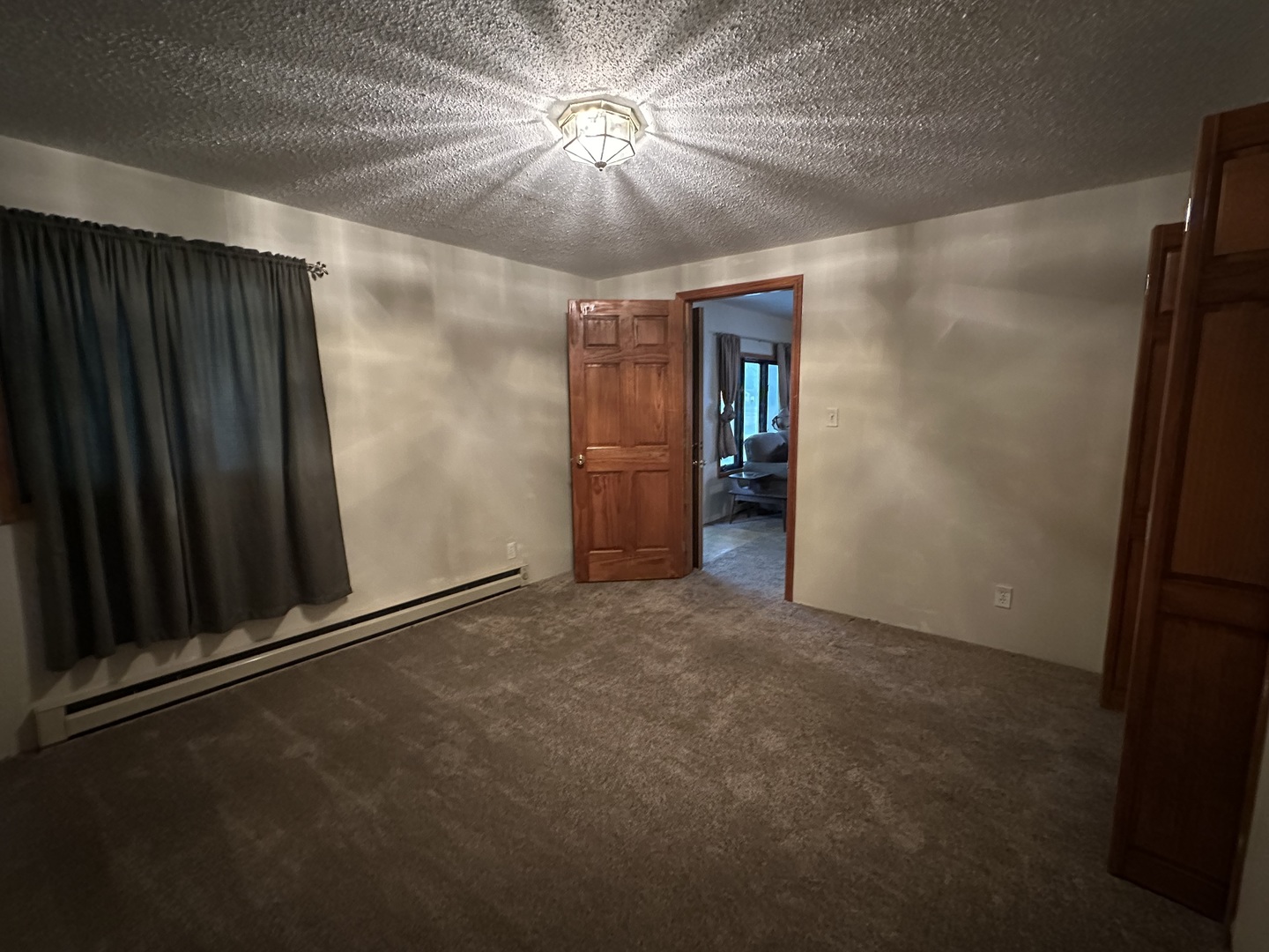 205 North Mannering Street Royalton, IL 62983 - Photo 17 of 23