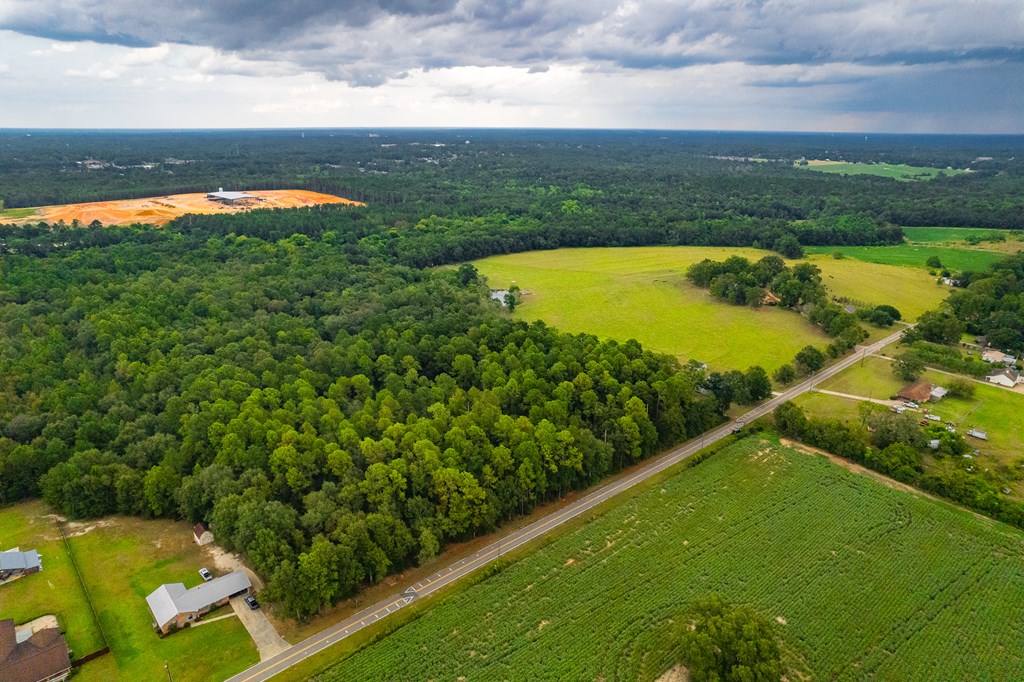 0 East Wayne Road Dothan, AL 36301 - Photo 3 of 18