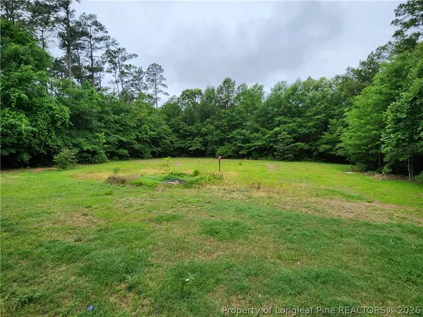 a view of a garden with a tree in the background