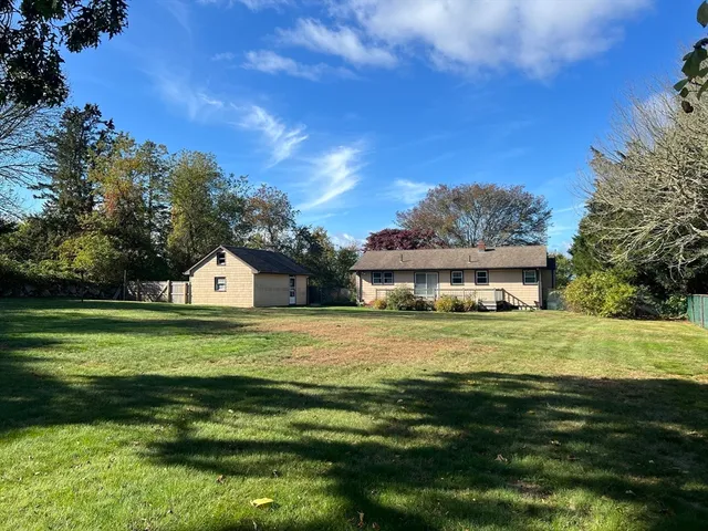 a view of a backyard with large trees and plants