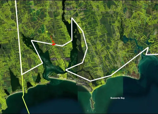 a view of a plant in a garden