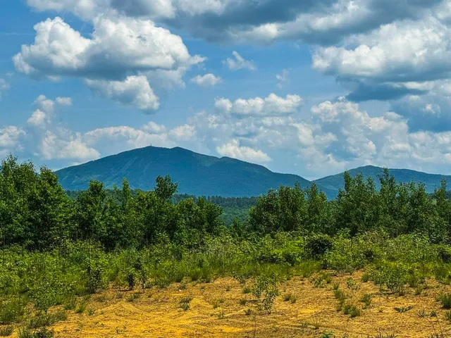 $111,000 | 0 Lynburke Road, Unit LOT 2, Lyndonville, VT 05851