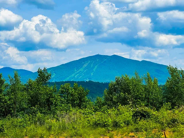 $111,000 | 0 Lynburke Road, Unit LOT 2, Lyndonville, VT 05851