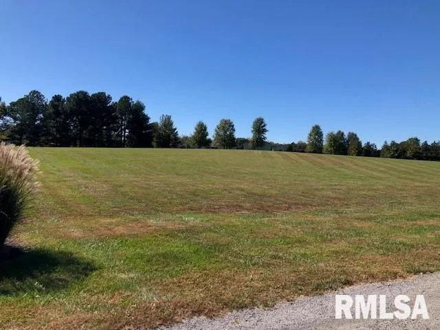 $30,000 | 0 Ariel Drive, Murphysboro, IL 62966