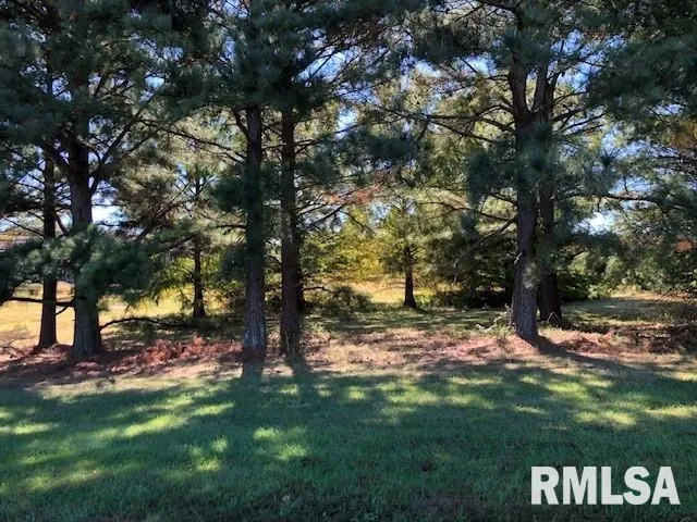 $30,000 | 0 Ariel Drive, Murphysboro, IL 62966