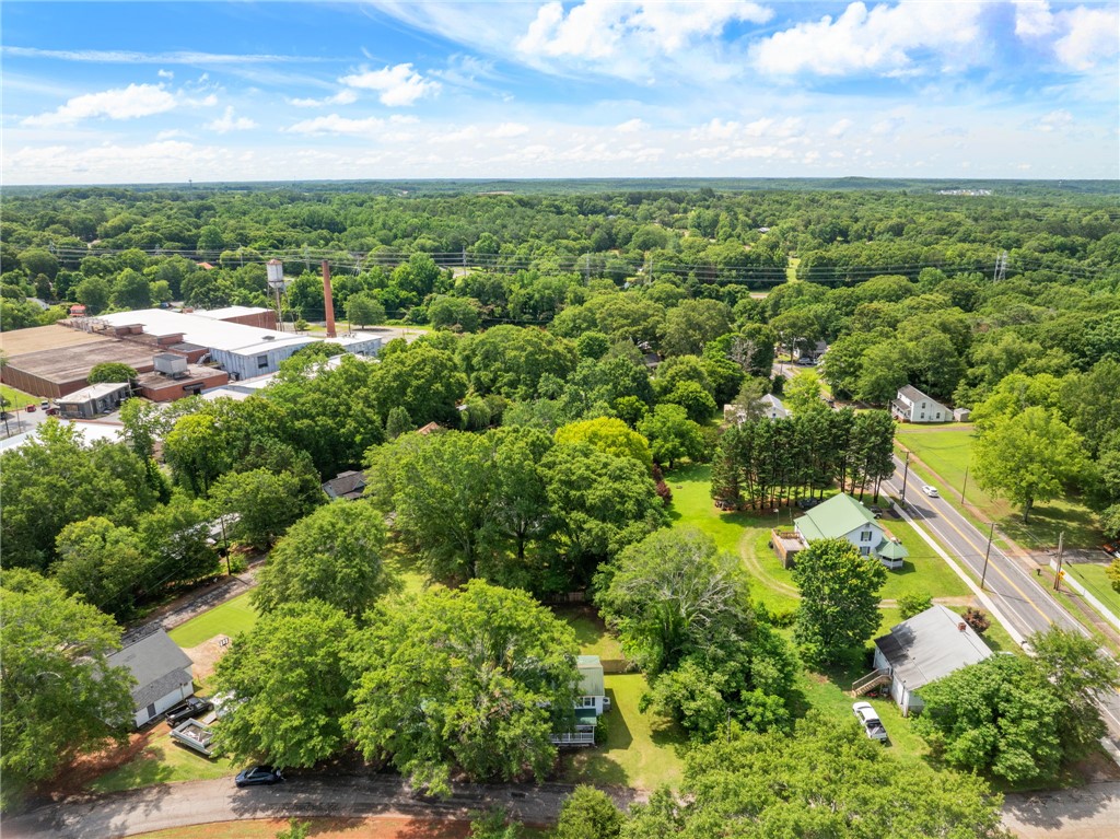 108 Tarrant Street Central, SC 29630 - Photo 38 of 42 An aerial panorama reveals verdant tree canopies embracing a quiet residential neighborhood with serene privacy.