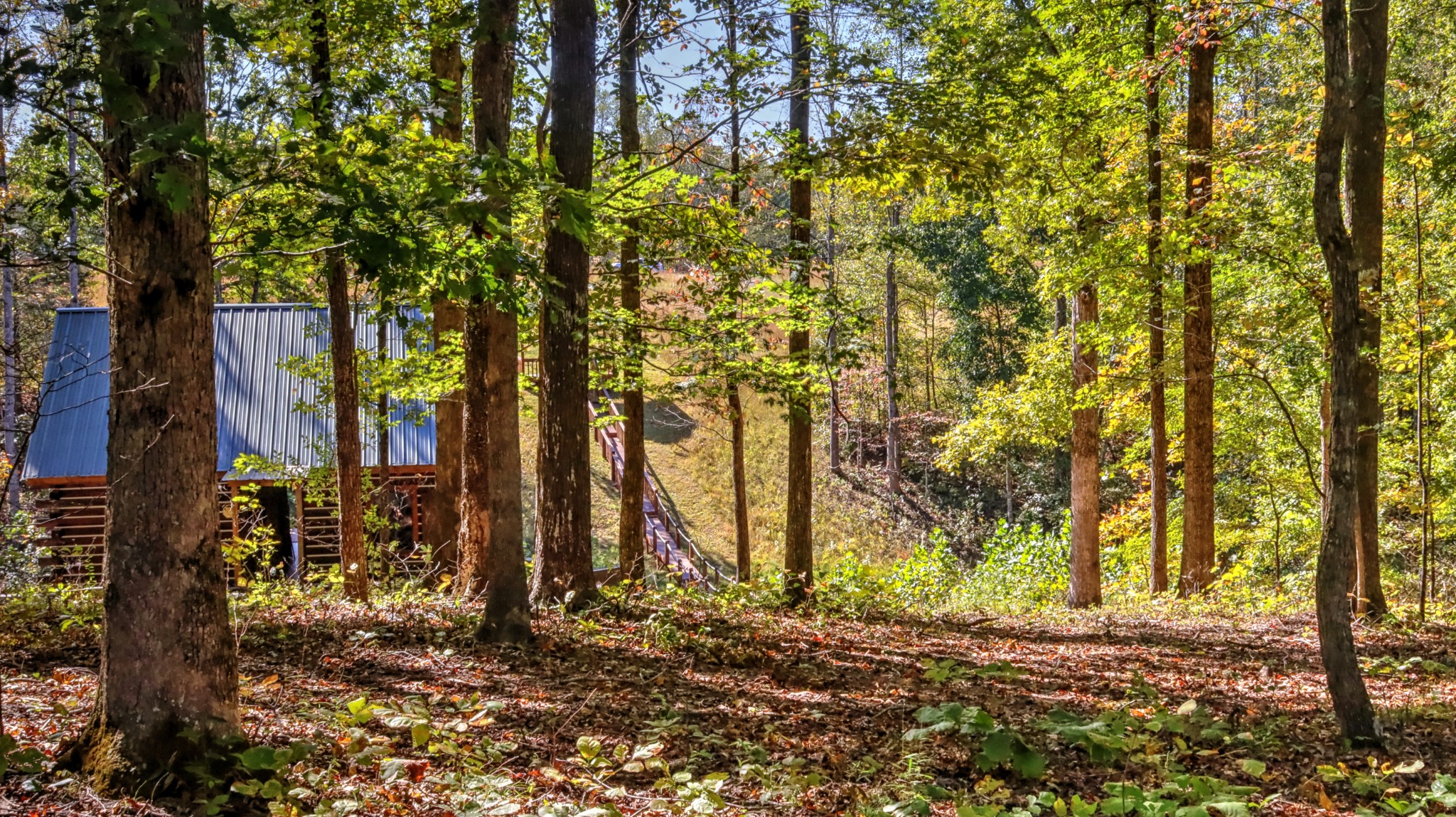589 Hayes Ridge Road Indian Mound, TN 37079 - Photo 14 of 32 Gallery Image 14