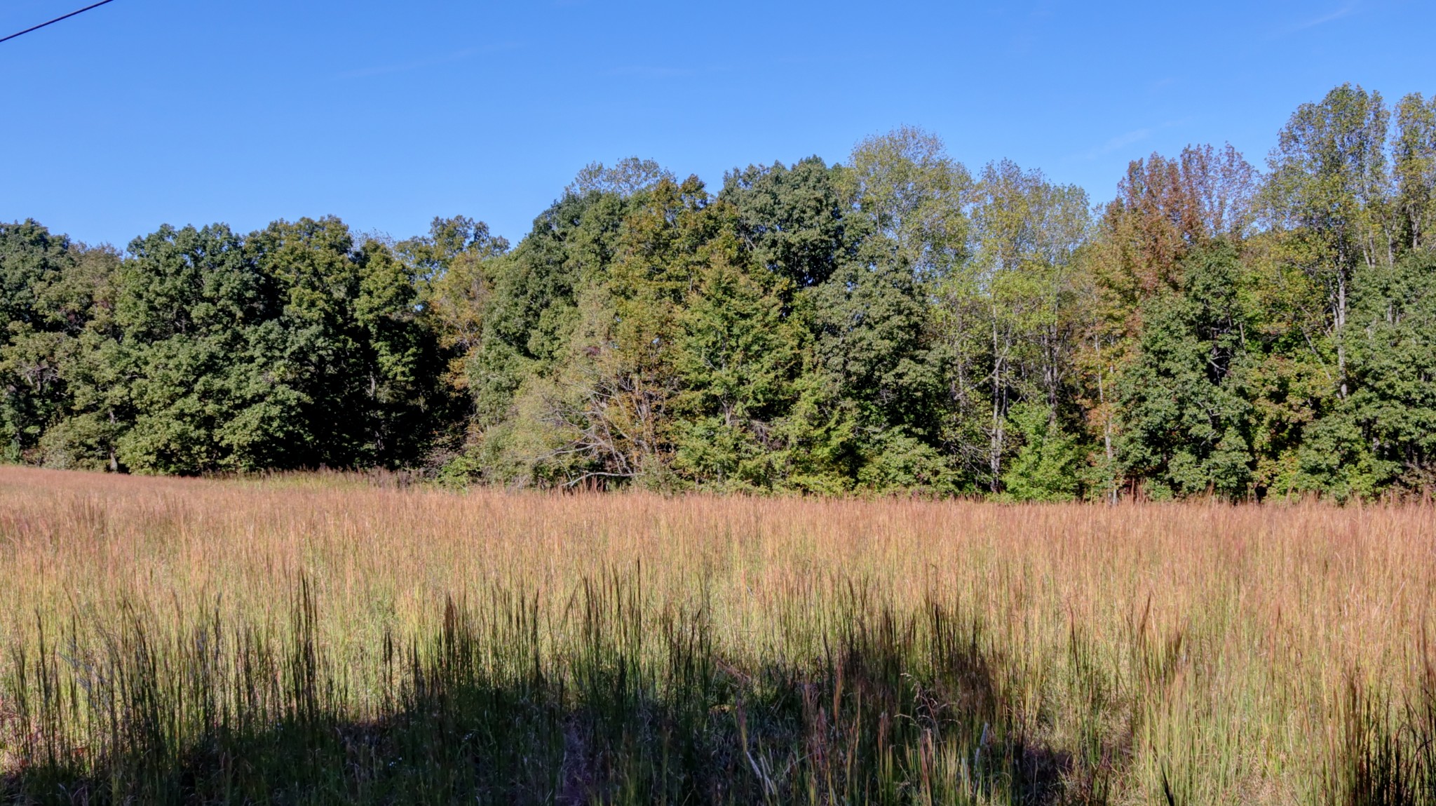 589 Hayes Ridge Road Indian Mound, TN 37079 - Photo 27 of 32 Gallery Image 27