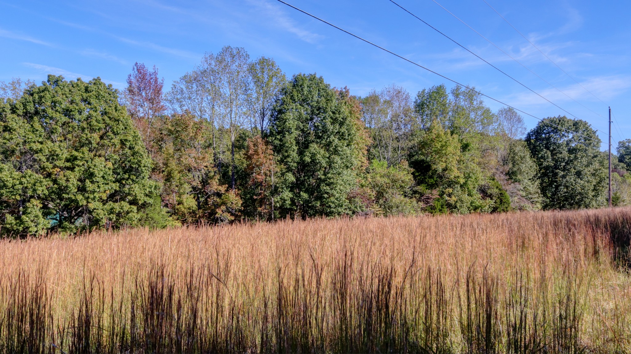 589 Hayes Ridge Road Indian Mound, TN 37079 - Photo 29 of 32 Gallery Image 29