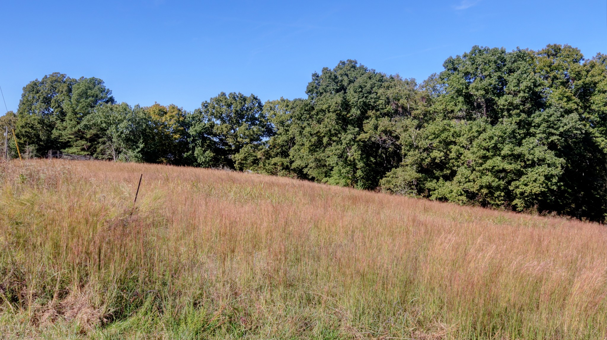 589 Hayes Ridge Road Indian Mound, TN 37079 - Photo 31 of 32 Gallery Image 31