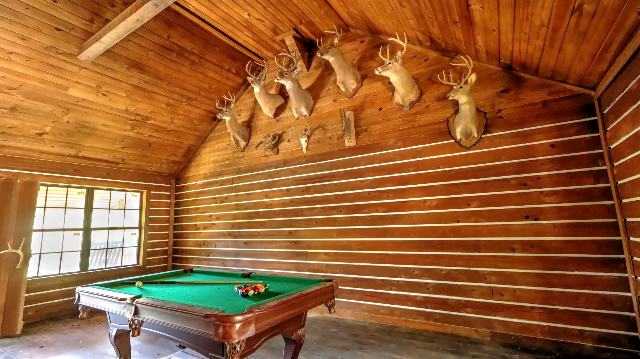 589 Hayes Ridge Road Indian Mound, TN 37079 - Photo 8 of 32 Gallery Image 8