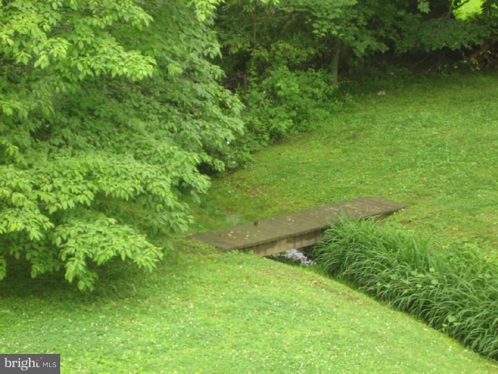 8505 Widener Road Glenside, PA 19038 - Photo 24 of 25 Back Yard