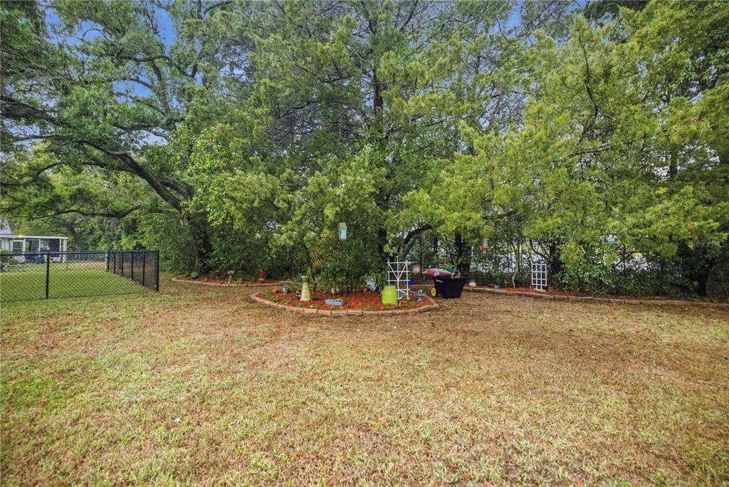 17577 Southeast 104th Circle Summerfield, FL 34491 - Photo 24 of 27 a view of a park with large trees