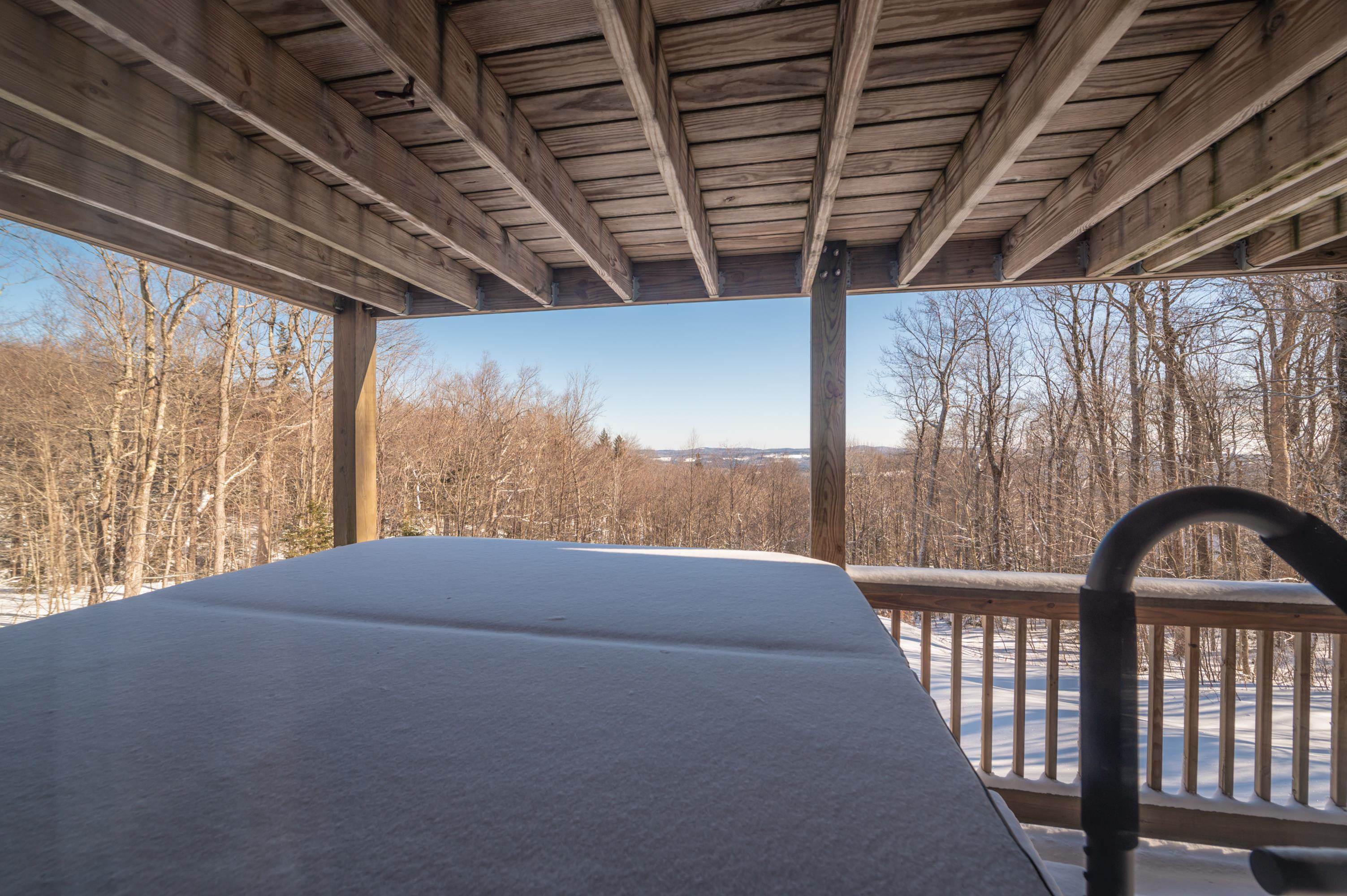 16 Snow Shoe Road Wilmington, VT 05363 - Photo 9 of 30