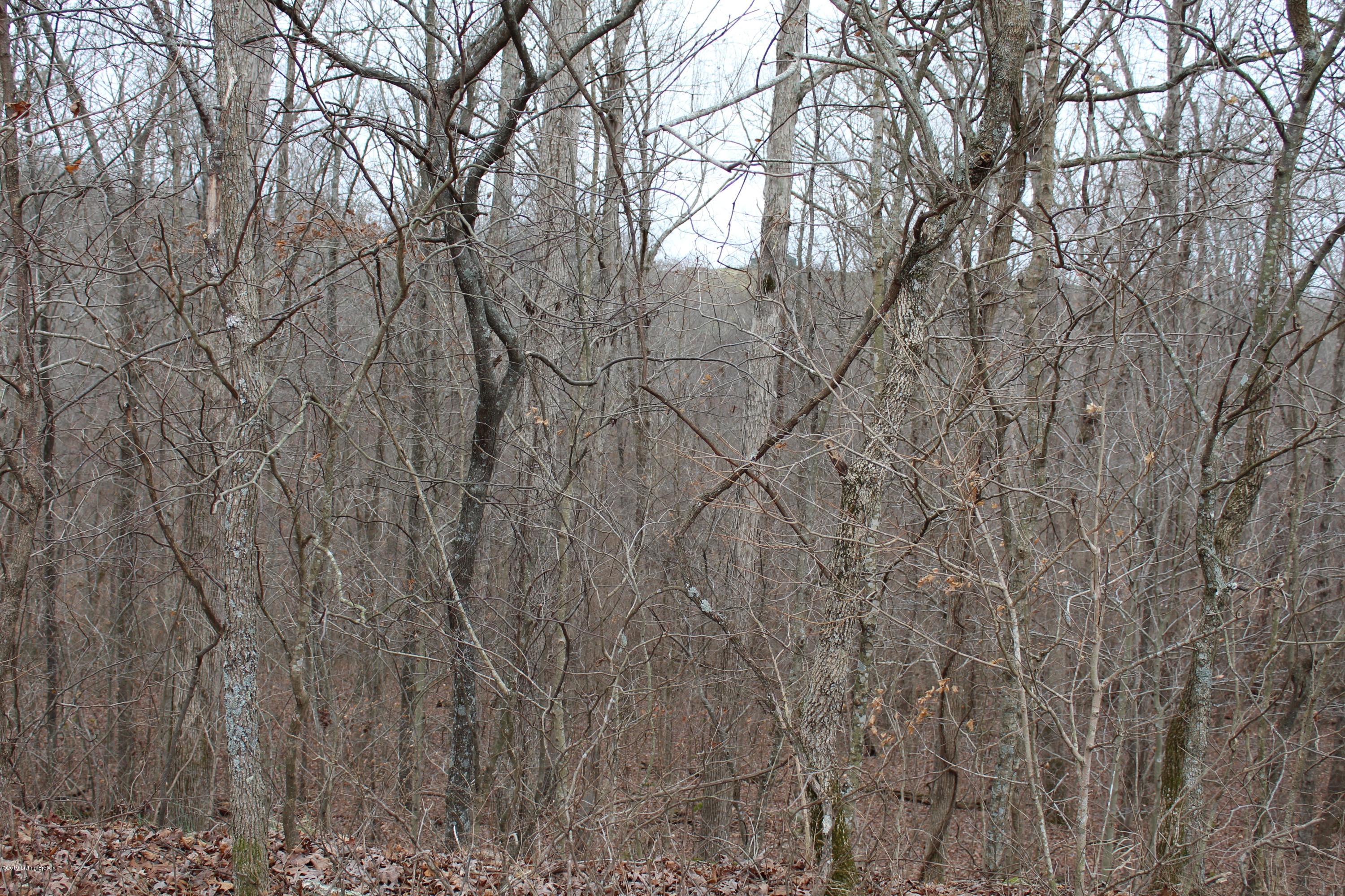 0 Charlie Huffman Road Clarkson, KY 42726 - Photo 5 of 5 IMG_1404