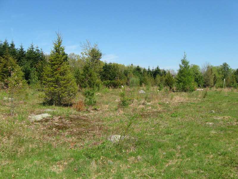 124 Hall Road Coventry, RI 02827 - Photo 8 of 8 Land/Lot.