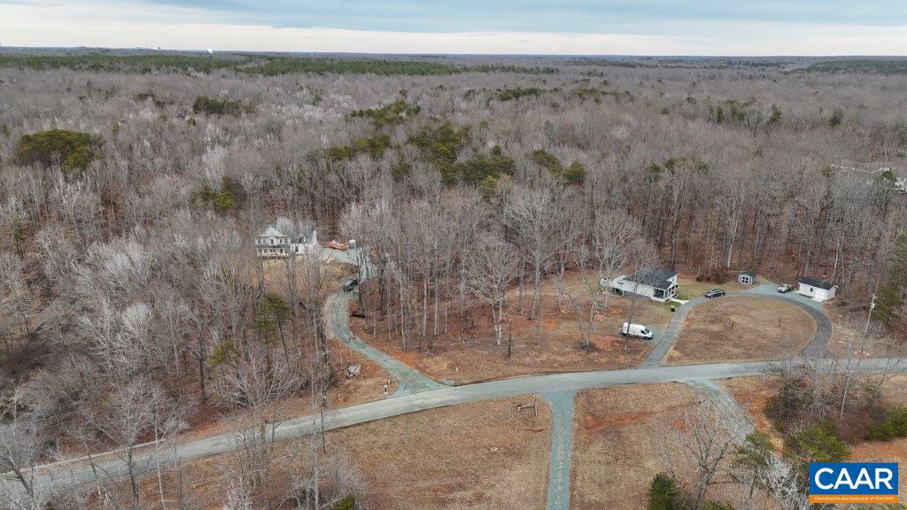 459 Lake Road, Unit HL12B Troy, VA 22974 - Photo 45 of 48