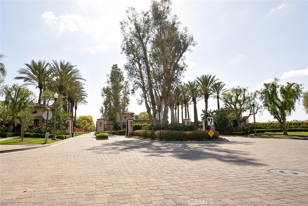 43 Carpenteria Irvine, CA 92602 - Photo 38 of 43 a view of road with trees