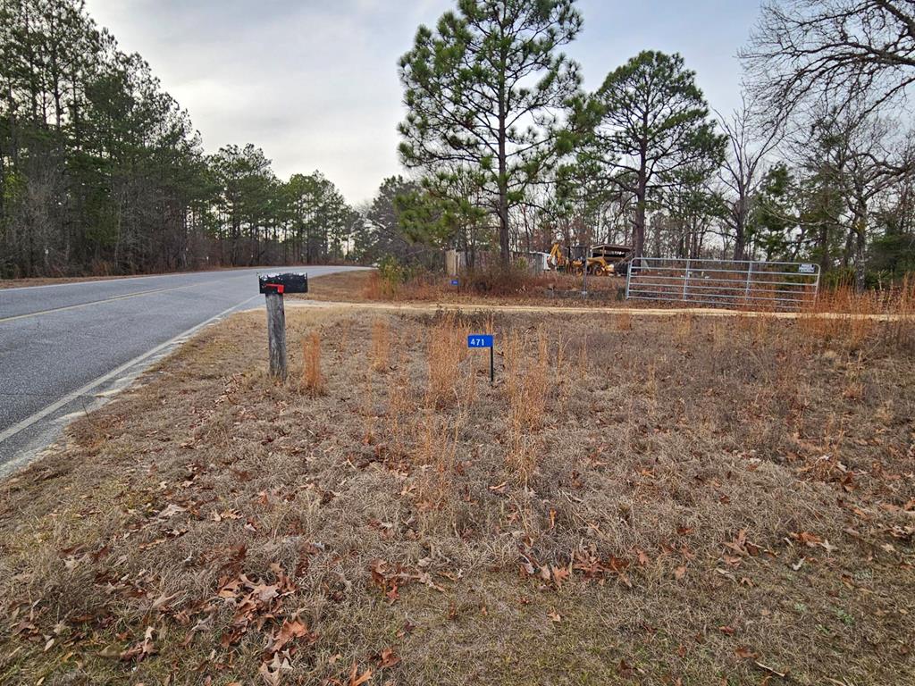 471 Old Louvale Road Cusseta, GA 31805 - Photo 23 of 26 Gallery Image 23