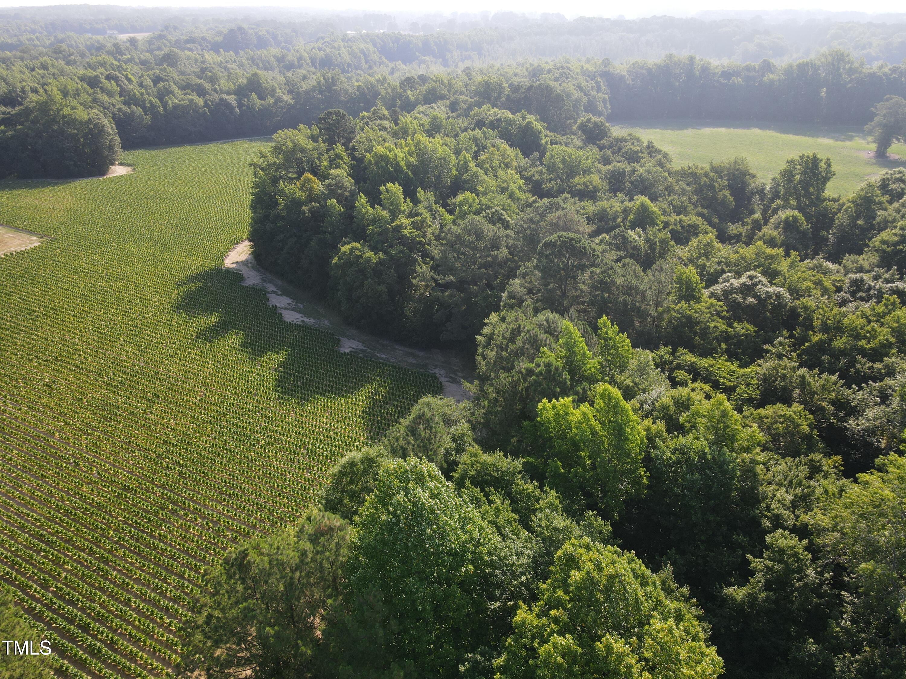 4017 Lizard Lick Road Wendell, NC 27591 - Photo 11 of 15 Lizard Lick Rd 9