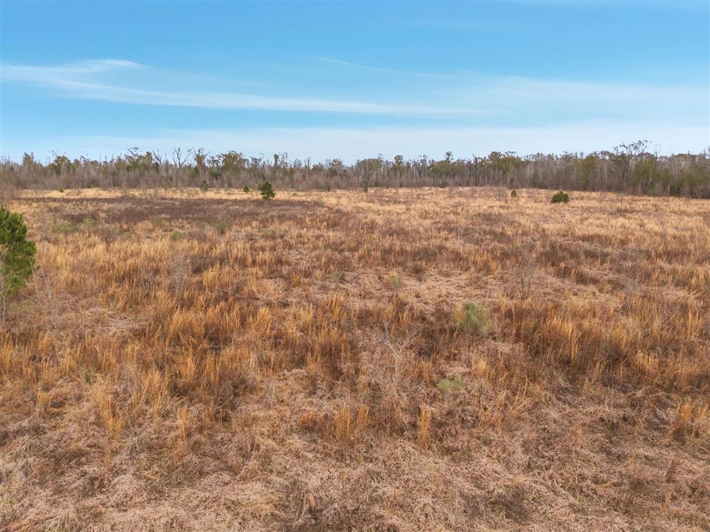 2 Walker Road Reeves, LA 70658 - Photo 6 of 7