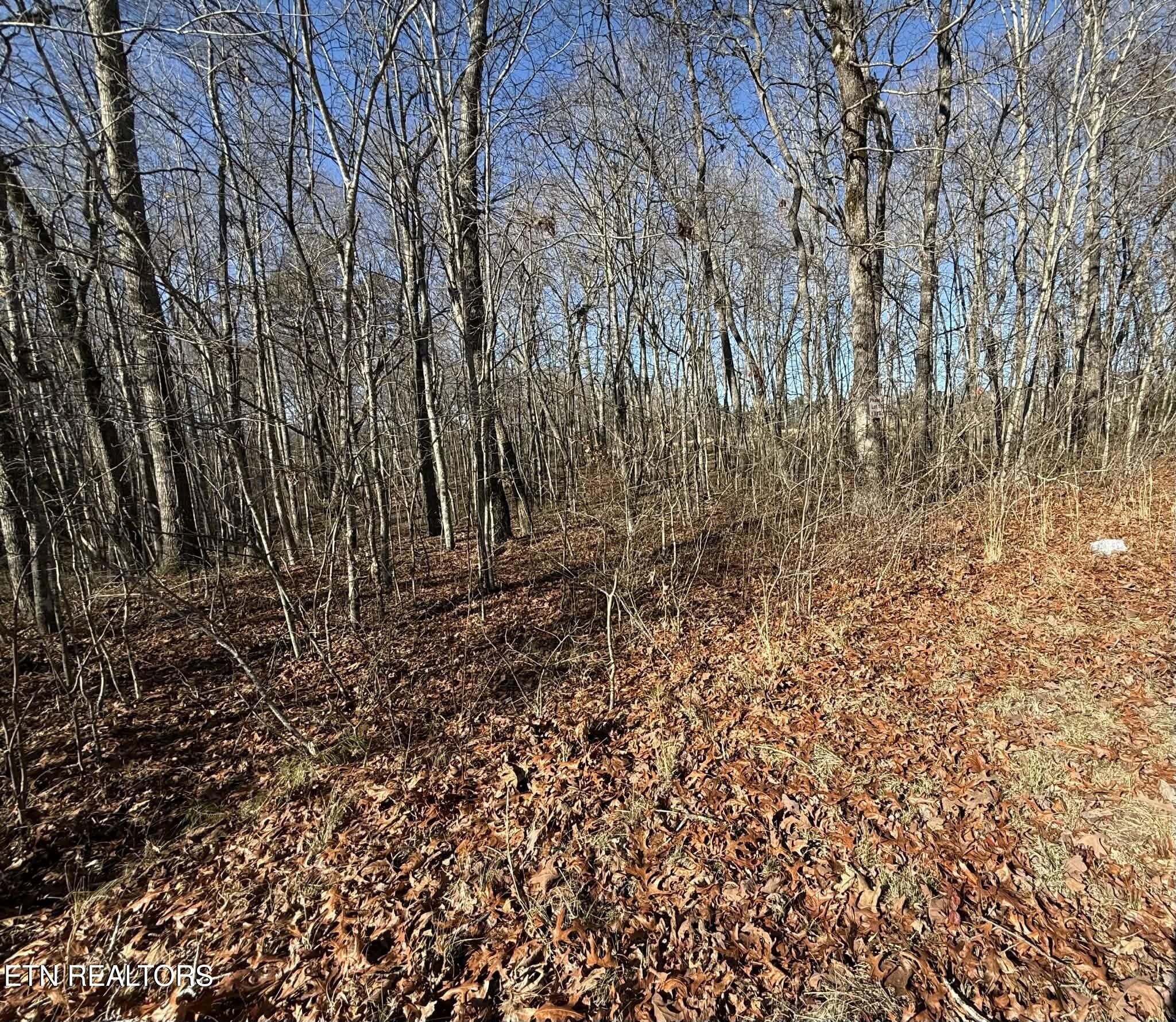 0 Georgee Road Jamestown, TN 38556 - Photo 12 of 13