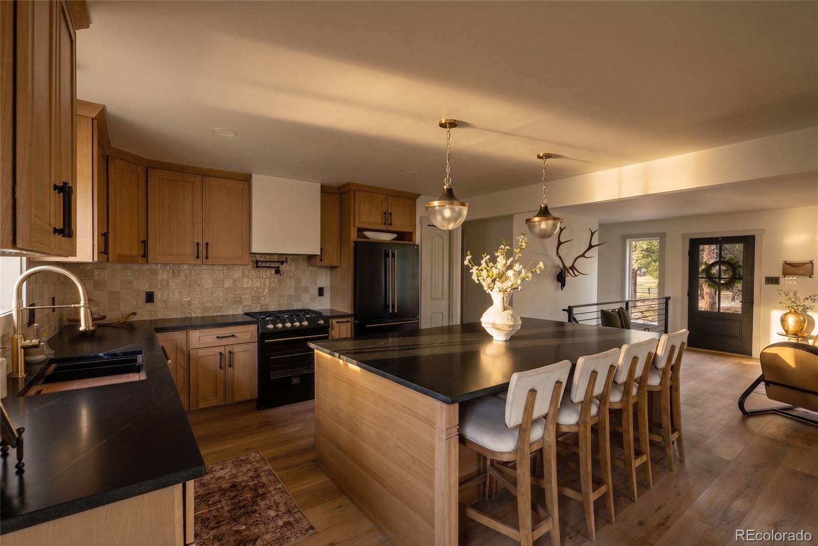 33691 Nova Road Pine, CO 80470 - Photo 2 of 38 Gallery Image 2