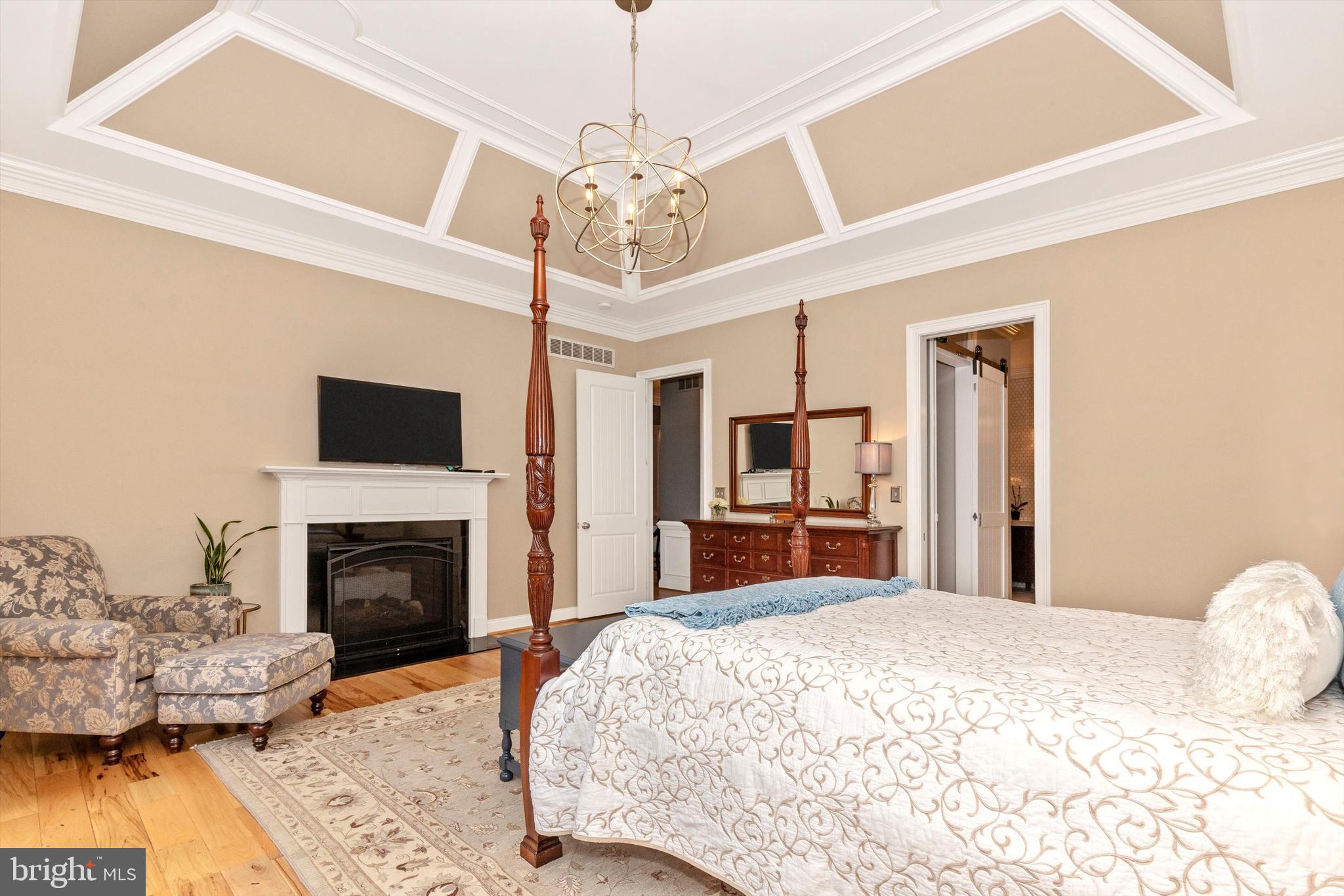 1615 Sawmill Road Spring City, PA 19475 - Photo 40 of 121 Coffered Ceiling and 2-Way Propane Fireplace