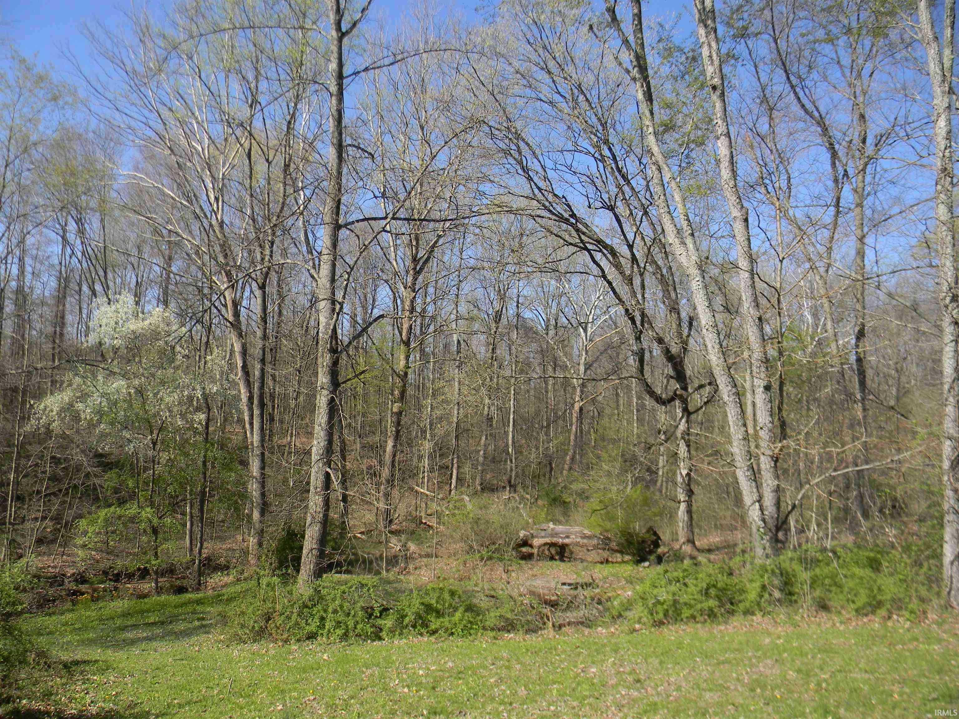 1137 Bucklew Road Spencer, IN 47460 - Photo 27 of 33 Gallery Image 27