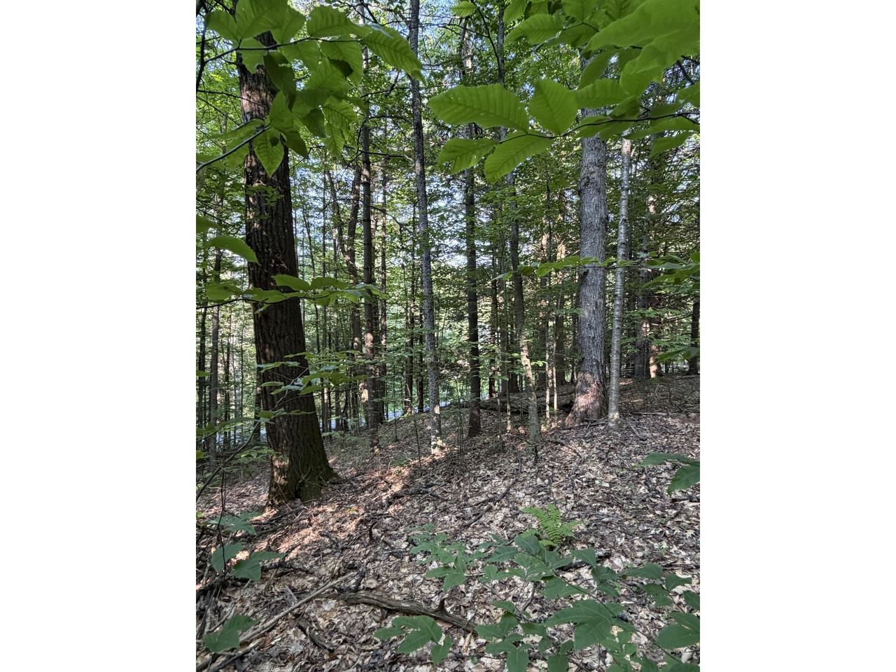 0 Old Carriage Road Waitsfield, VT 05673 - Photo 20 of 24