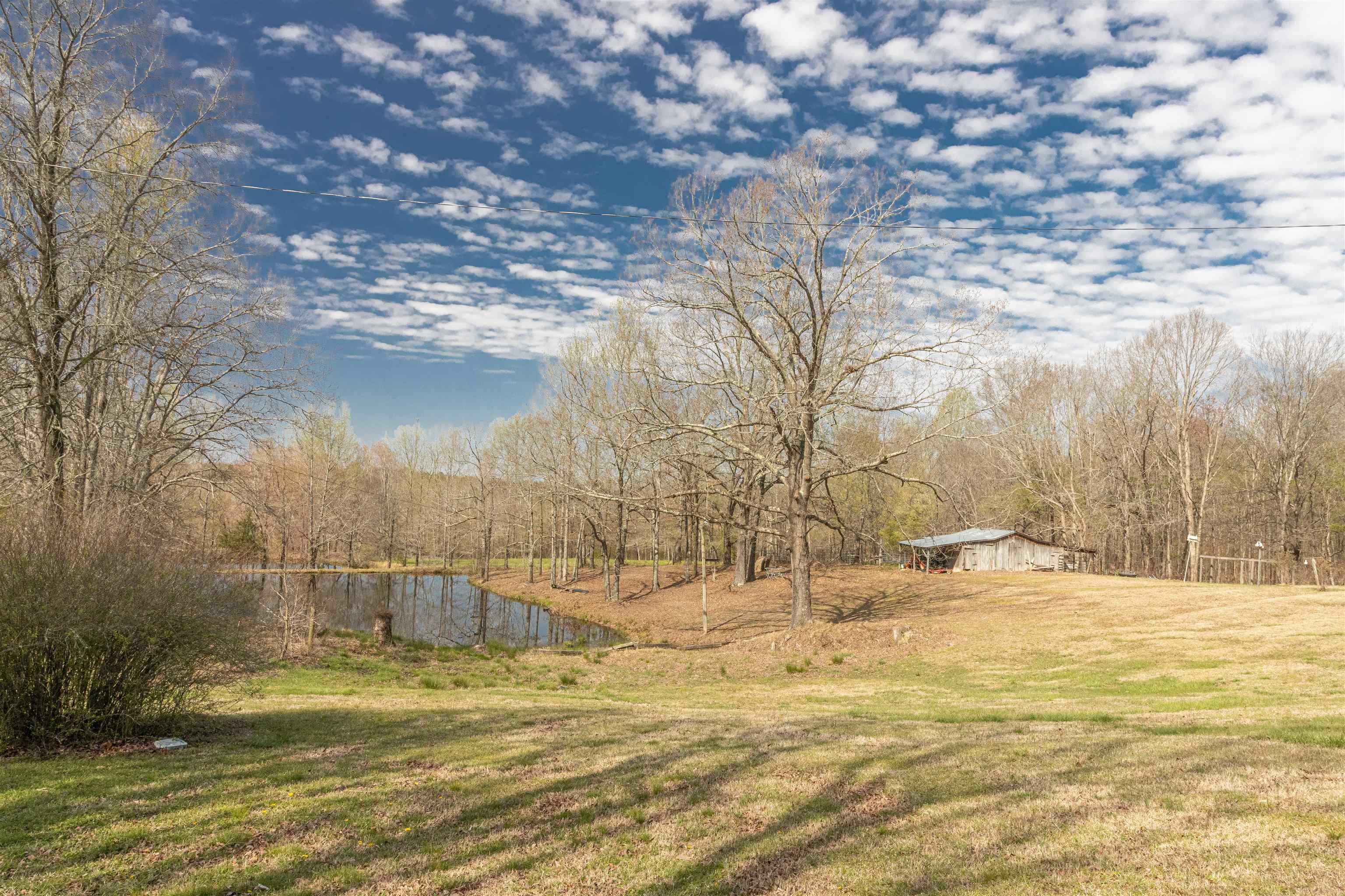 602 Ammons Road Selmer, TN 38375 - Photo 4 of 25 Gallery Image 4