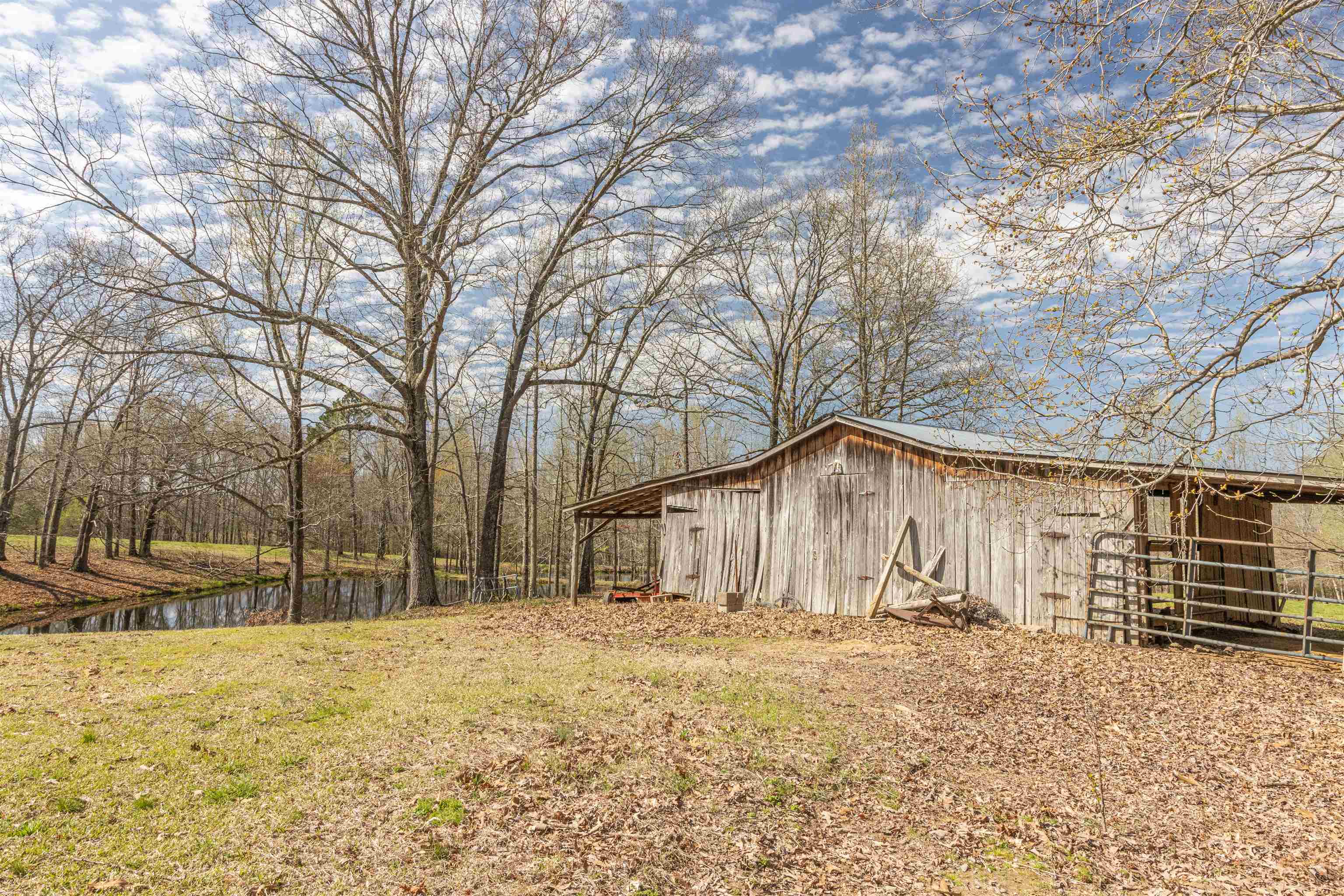 602 Ammons Road Selmer, TN 38375 - Photo 5 of 25 Gallery Image 5