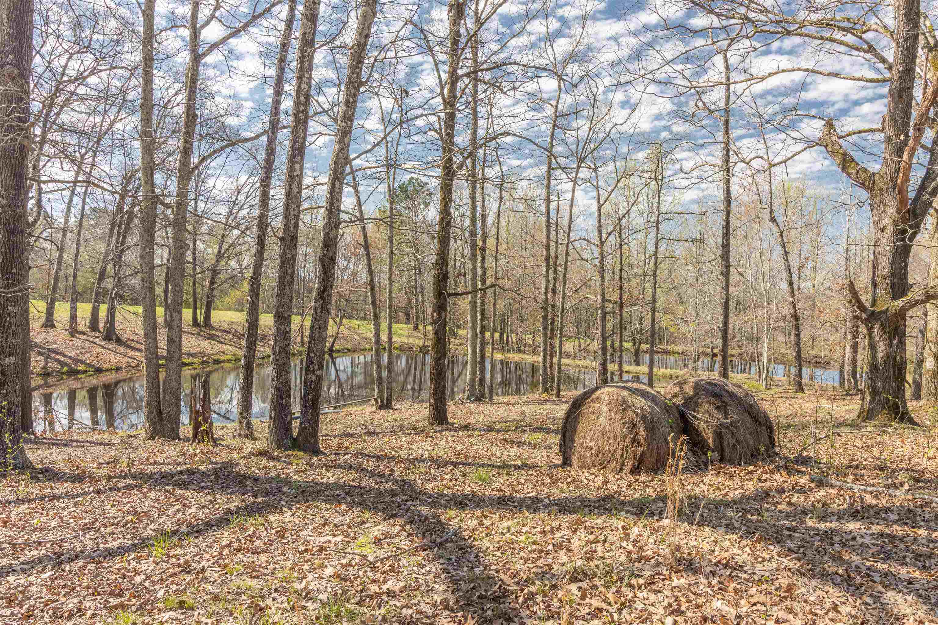 602 Ammons Road Selmer, TN 38375 - Photo 6 of 25 Gallery Image 6