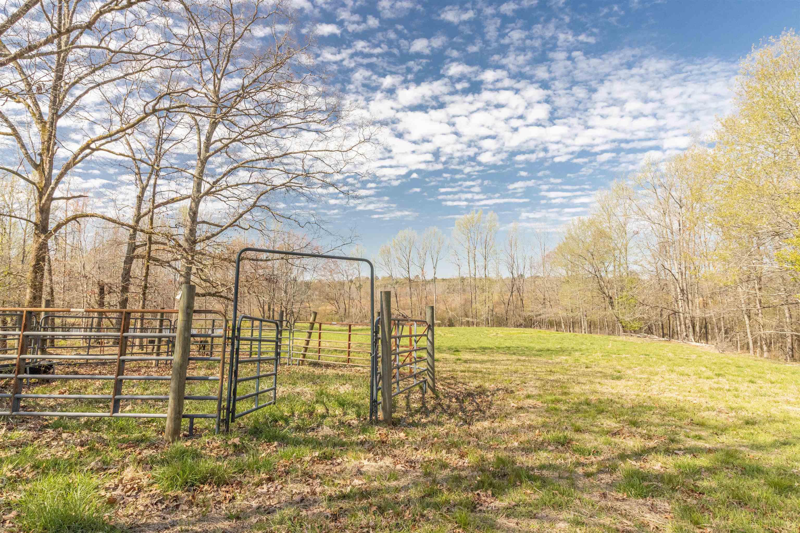 602 Ammons Road Selmer, TN 38375 - Photo 7 of 25 Gallery Image 7