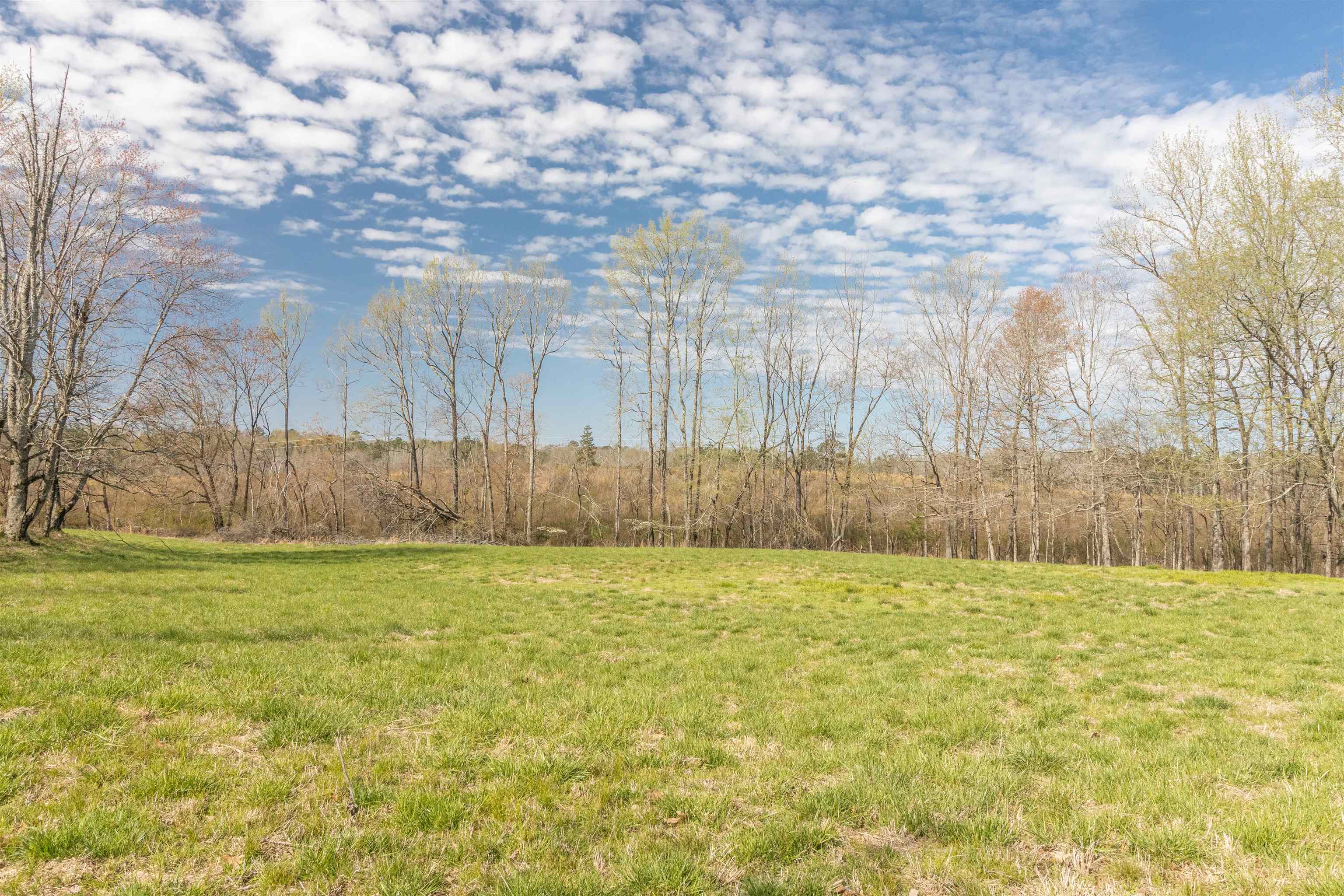 602 Ammons Road Selmer, TN 38375 - Photo 8 of 25 Gallery Image 8