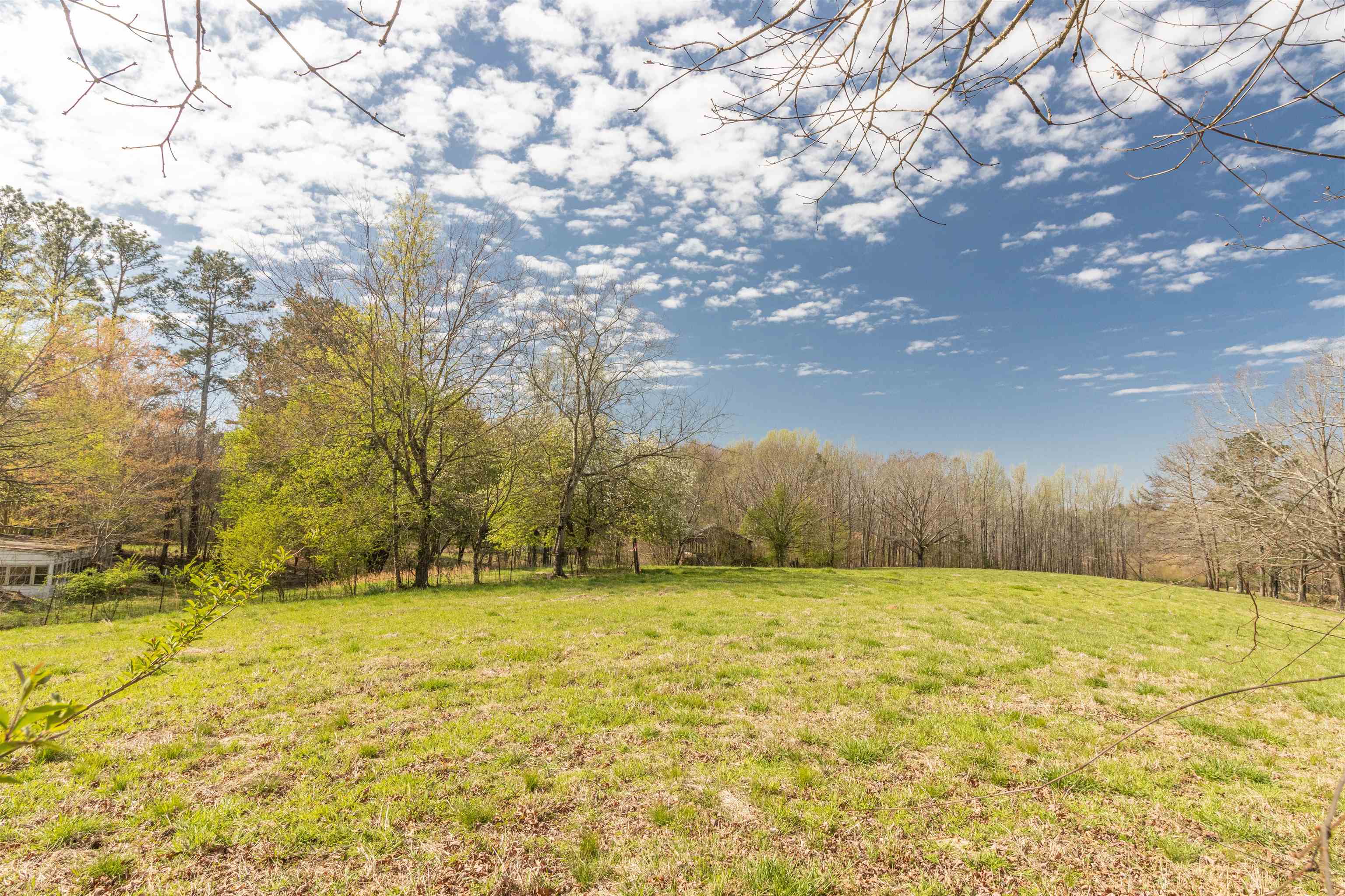602 Ammons Road Selmer, TN 38375 - Photo 9 of 25 Gallery Image 9