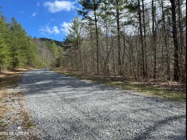 $48,750 | Cougar Trail Trail, Unit 18, Del Rio, TN 37727