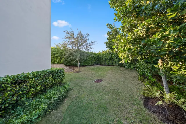 a view of a backyard with a tree
