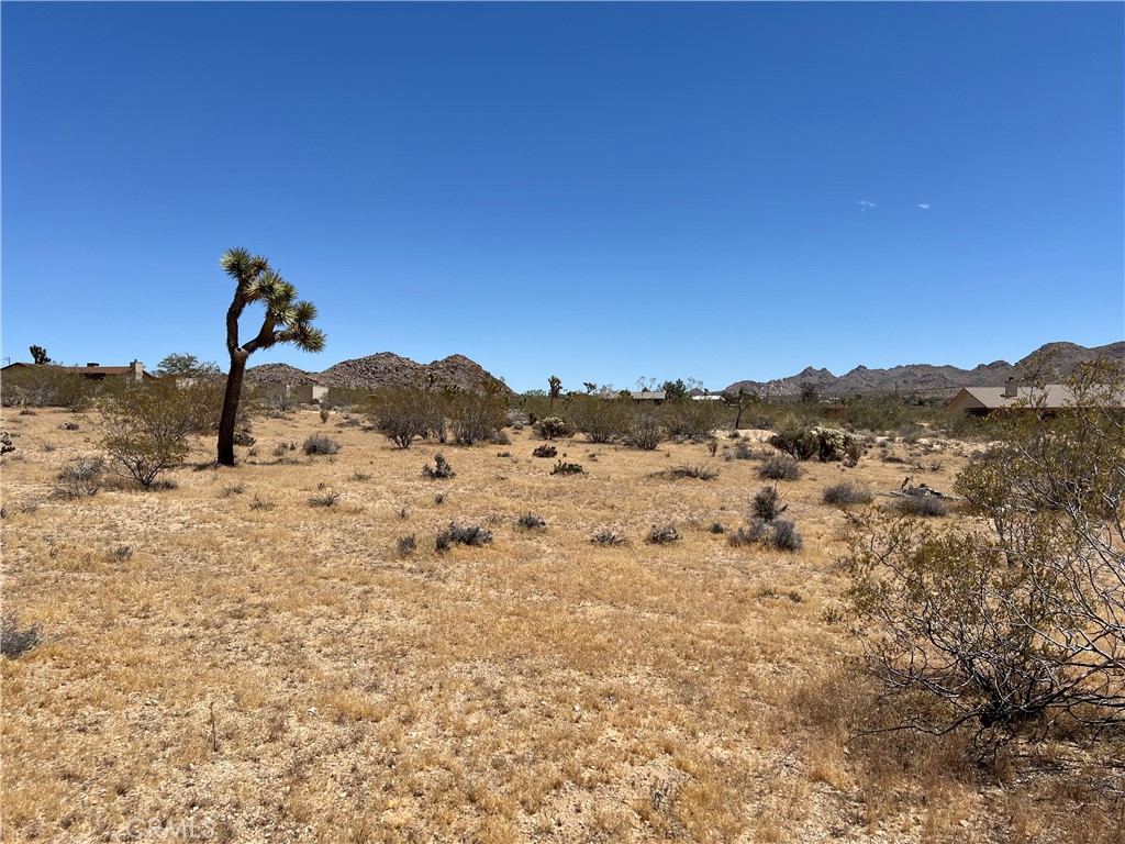 8624 Desert Shadow Road Joshua Tree, CA 92252 - Photo 4 of 9