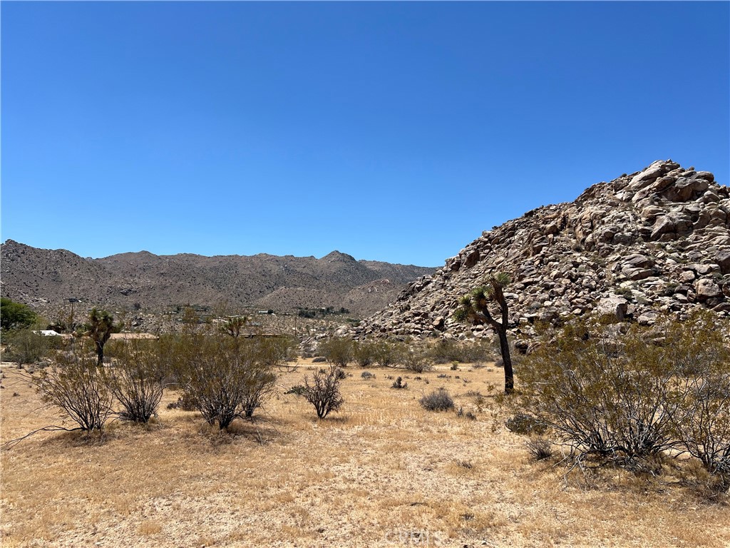 8624 Desert Shadow Road Joshua Tree, CA 92252 - Photo 5 of 9
