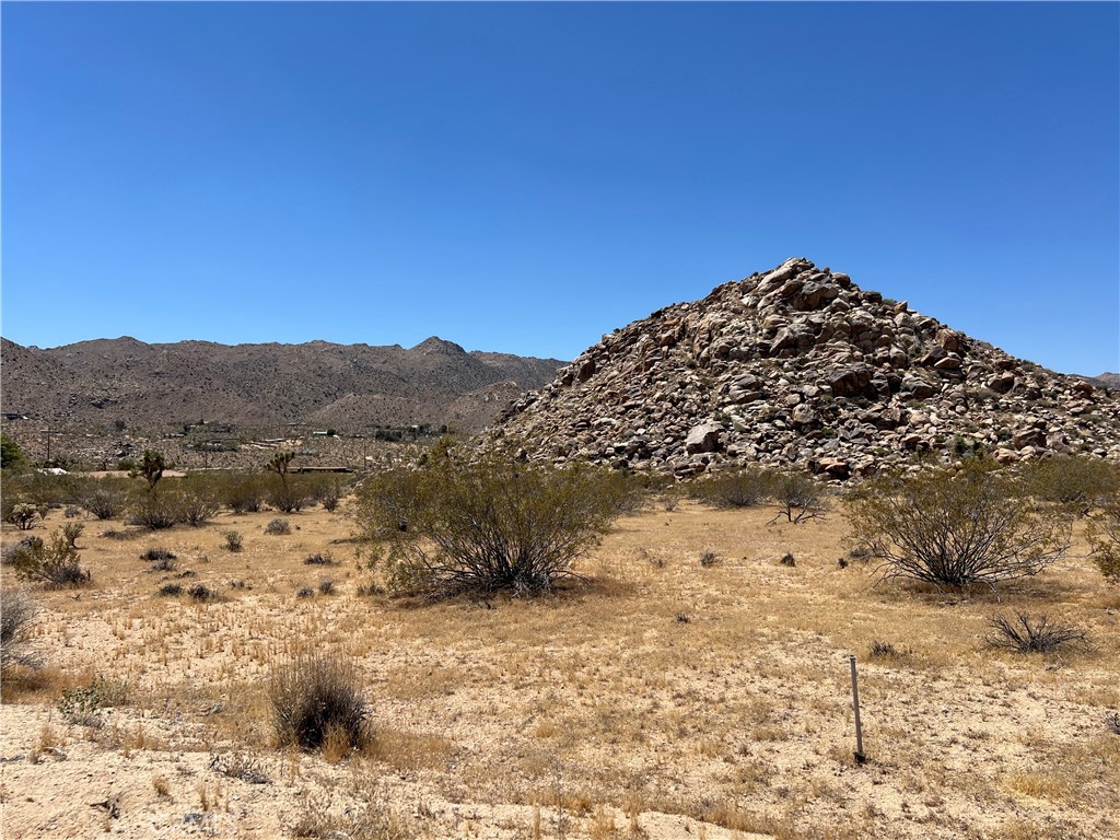 8624 Desert Shadow Road Joshua Tree, CA 92252 - Photo 7 of 9