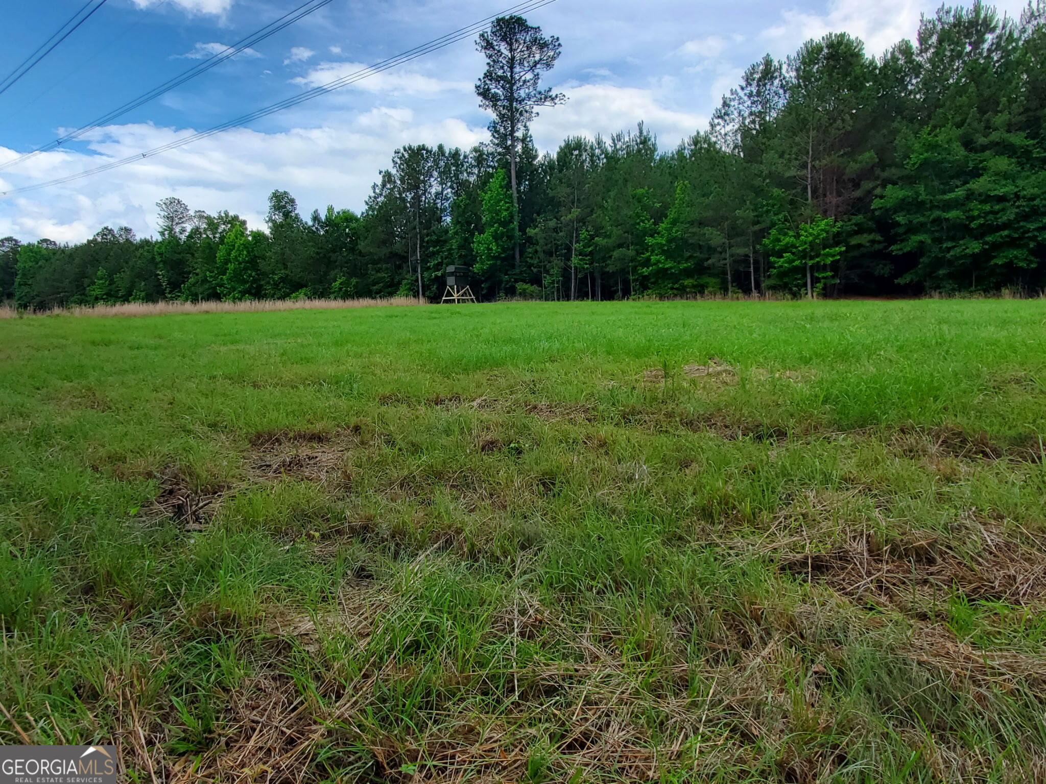 1 Roy Lawrence Road Sparta, GA 31087 - Photo 1 of 33
