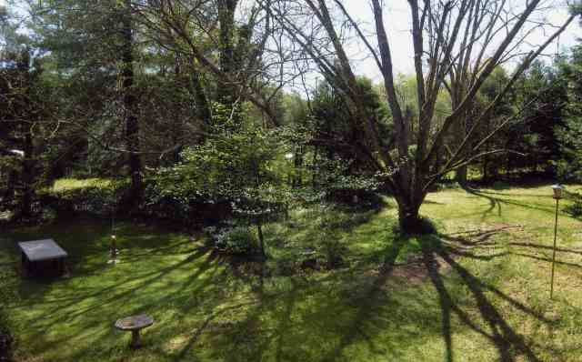 218 Pendleton Road Clemson, SC 29631 - Photo 8 of 8