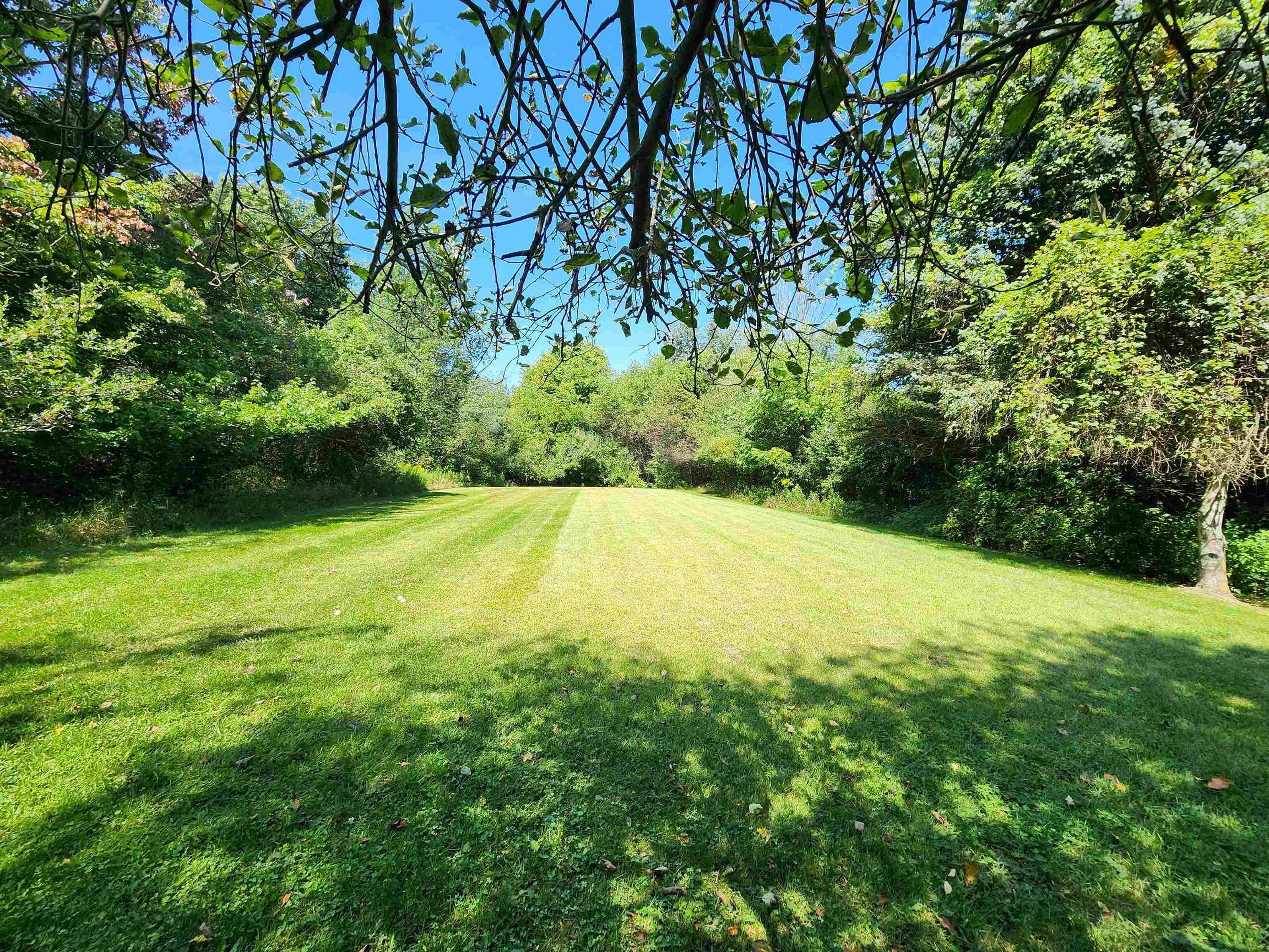 6415 General Squier Road Almont, MI 48003 - Photo 33 of 51 50153296-a75f04ce-0ccb-4917-95fb-bbee4dbc5f90.JPG