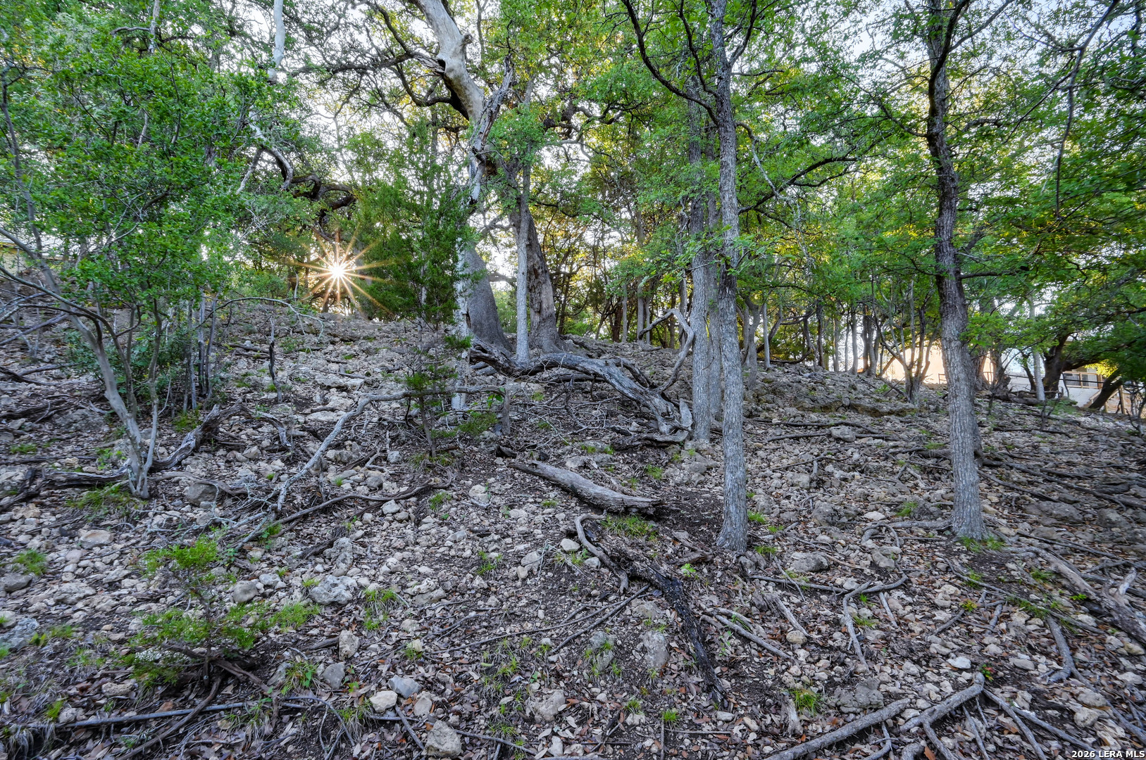 315 Rittimann Road Spring Branch, TX 78070 - Photo 49 of 51