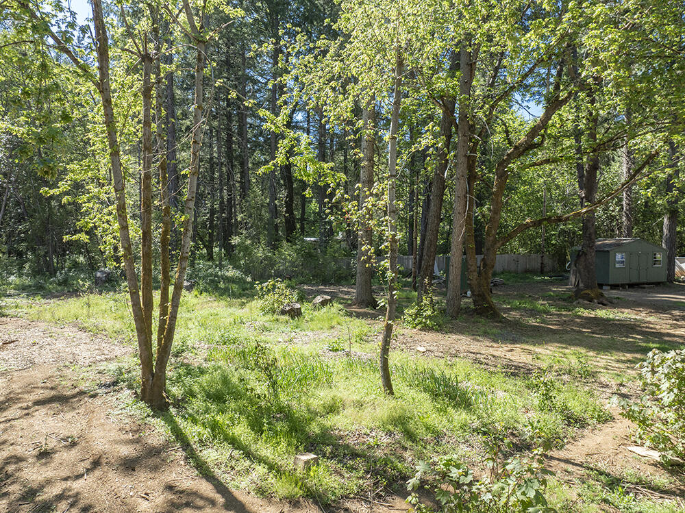 382 Garner Road Cave Junction, OR 97523 - Photo 13 of 38 a backyard of a house with a tree