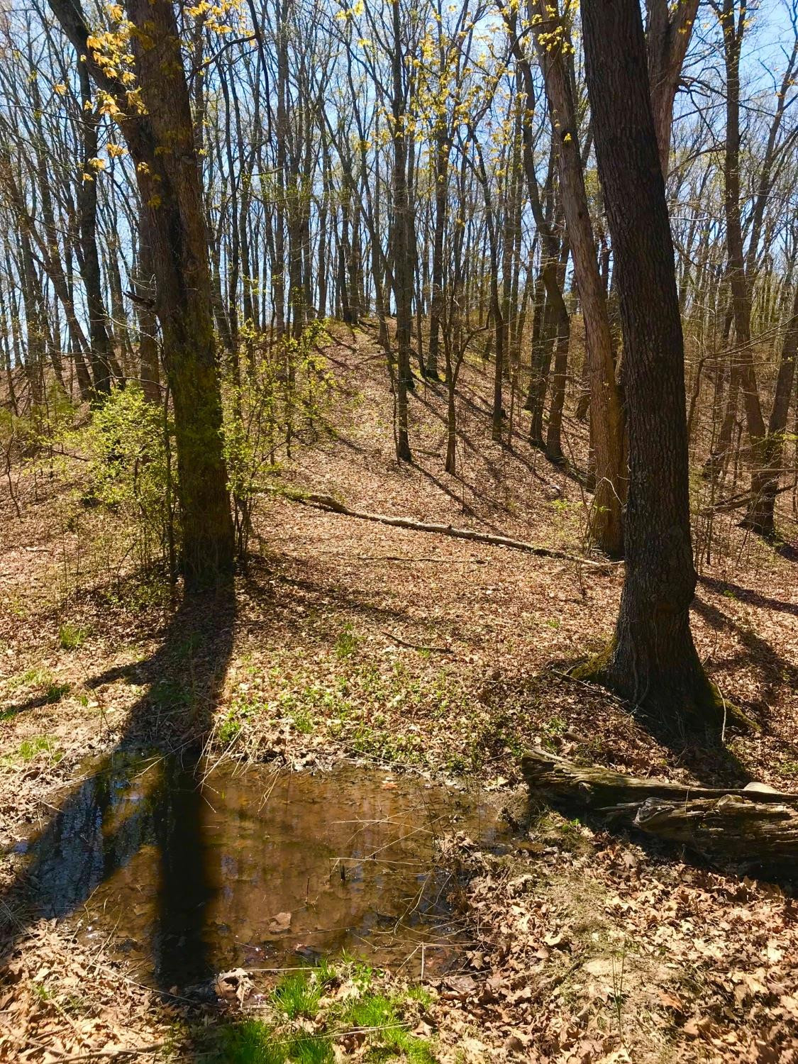 1 Donohue Road Owingsville, KY 40360 - Photo 2 of 9 Photo 2